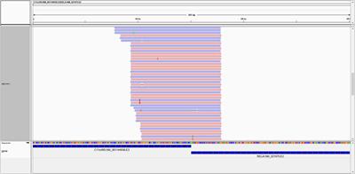 SeekFusion - A Clinically Validated Fusion Transcript Detection Pipeline for PCR-Based Next-Generation Sequencing of RNA